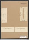 Hyalosira sp. (de-Toni-Nr.: Genus ad 97) Zeichnungen Sammlung Grunow Nr. 6320 (NHMW-BOT-W0374955)
